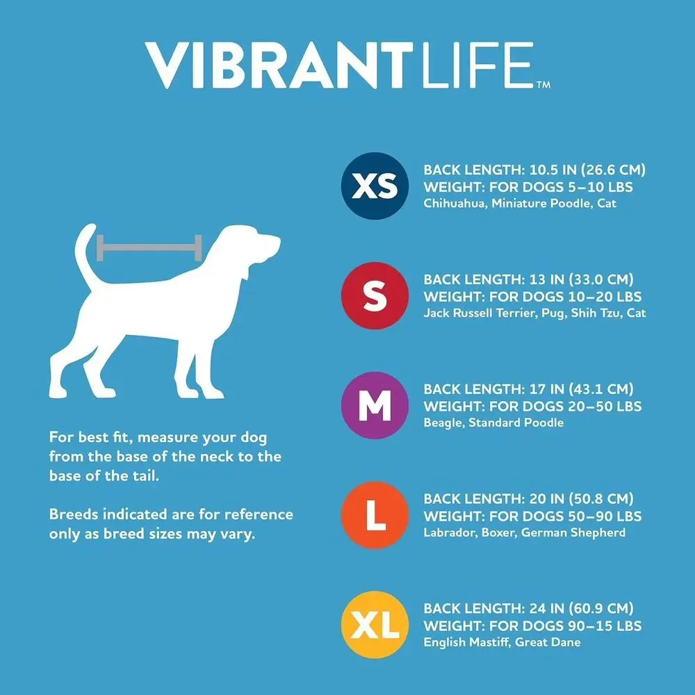 Vibrant Life Pet Sweater for Dogs Pink Boss Lady Bows Medium
